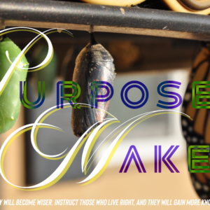 Purpose Makers